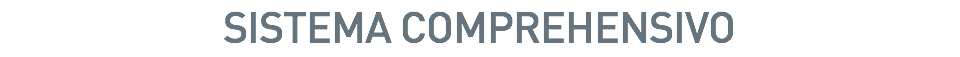 SISTEMA COMPREHENSIVO